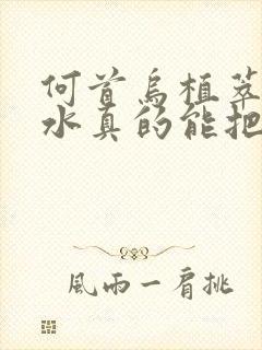 何首乌植萃洗发水真的能把白头发洗黑吗