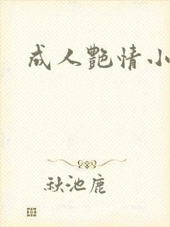 成人艳情小说封面