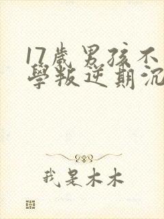 17岁男孩不上学叛逆期沉迷手机