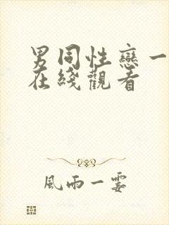 男同性恋一级片在线观看