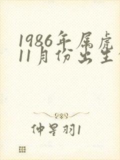 1986年属虎11月份出生的人命运如何