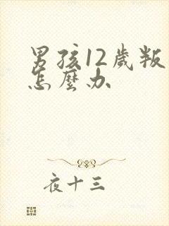 男孩12岁叛逆怎么办