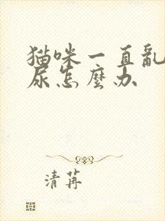 猫咪一直乱拉乱尿怎么办