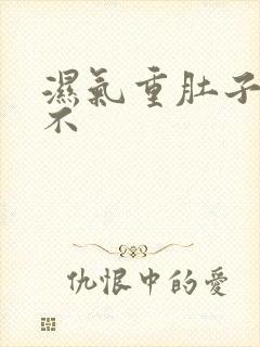 湿气重肚子会大不