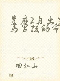 农历2月出生的马男孩的命运