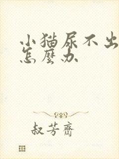 小猫尿不出来尿怎么办封面