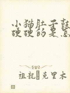 小猫肚子鼓鼓的硬硬的是怎么回事封面