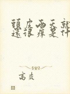 头皮两天就油了还很痒是什么原因