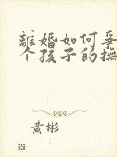 离婚如何争取两个孩子的抚养权