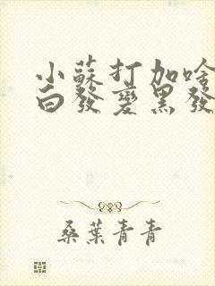 小苏打加啥洗头白发变黑发