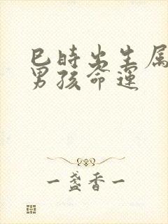 巳时出生属猪的男孩命运