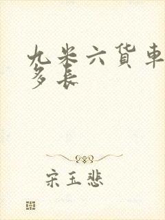 九米六货车车厢多长