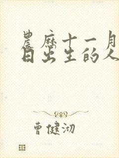 农历十一月十一日出生的人命运