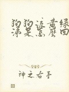 狗狗流黄绿色鼻涕是怎么回事