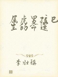 属虎男孩巳时出生的命运封面