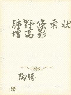 肺野条索状密度增高影