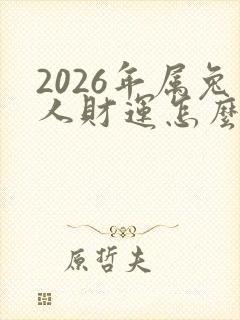 2026年属兔人财运怎么样封面