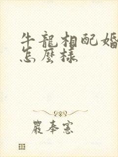 牛龙相配婚姻会怎么样