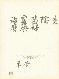 治霉菌阴炎用什么药好封面