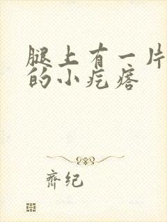 腿上有一片白色的小疙瘩