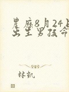 农历8月24日出生男孩命运