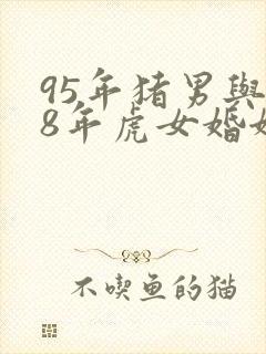 95年猪男与98年虎女婚姻如何封面