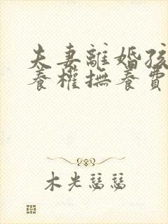 夫妻离婚孩子抚养权抚养费怎么判定