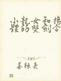 小龙女和杨过合体的双剑合璧