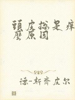 头皮总是痒是什么原因封面