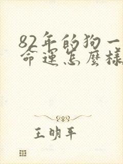 82年的狗一生命运怎么样封面