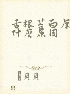 舌根苔白厚腻是什么原因