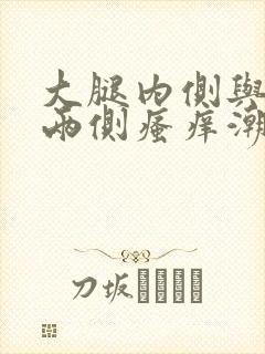 大腿内侧与阴囊两侧瘙痒潮湿发黑用什么药膏