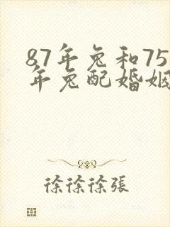 87年兔和75年兔配婚姻好不好封面