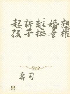 起诉离婚想要回孩子抚养权封面