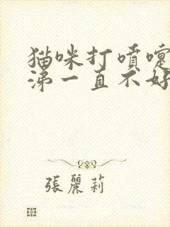 猫咪打喷嚏流鼻涕一直不好怎么办封面