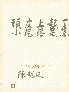 头皮上起了很多小疙瘩是怎么回事