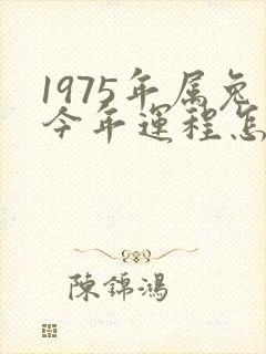1975年属兔今年运程怎么样