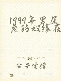 1999年男属兔的姻缘在哪年
