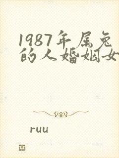 1987年属兔的人婚姻女命运