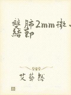 双肺2mm微小结节