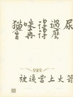 猫咪得过尿闭还会再得么封面