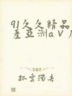 91久久精品国产亚洲a∨麻豆封面