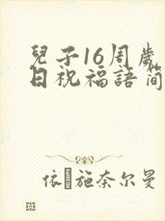 儿子16周岁生日祝福语简短精辟