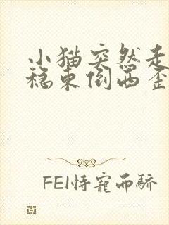 小猫突然走路不稳东倒西歪后腿无力