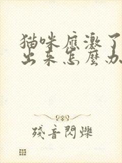 猫咪应激了尿不出来怎么办