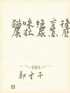 猫咪绝育后乱拉屎拉尿怎么办