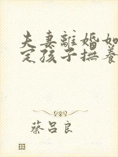 夫妻离婚如何判定孩子抚养权