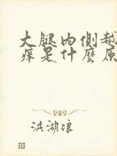 大腿内侧越抓越痒是什么原因封面