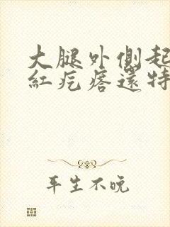 大腿外侧起一片红疙瘩还特别痒怎么回事封面