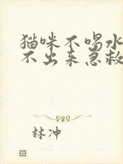 猫咪不喝水也尿不出来急救办法